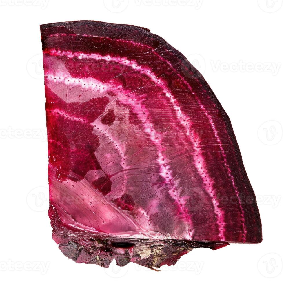 Slice of fresh beetroot showing the concentric rings detail photo