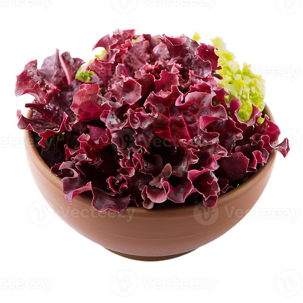 Fresh red lettuce leaves overflowing a rustic bowl photo