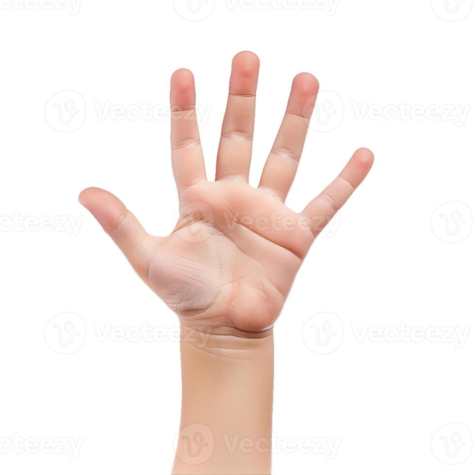 Child hand showing five fingers up isolated on white photo