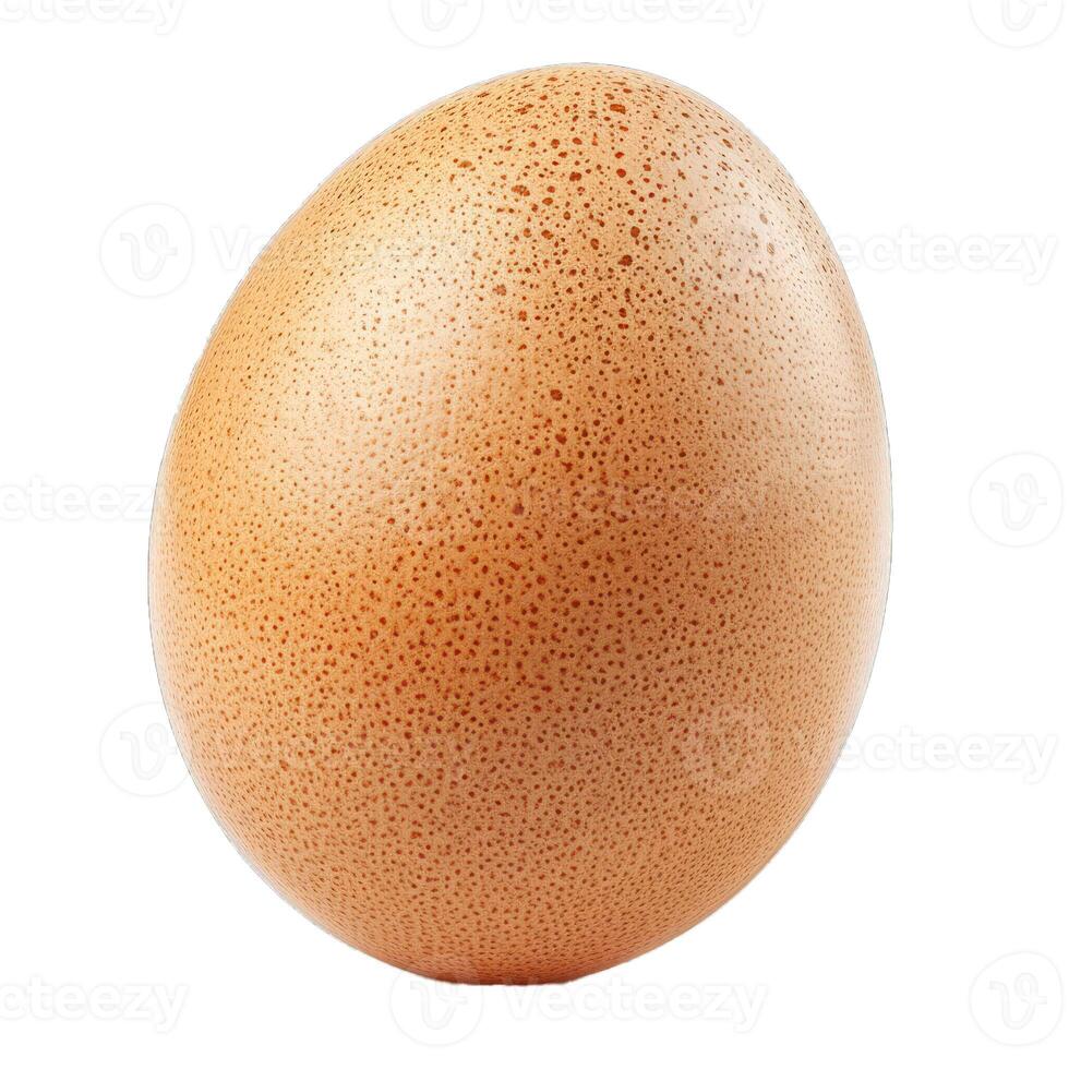 Single brown chicken egg standing on white background photo