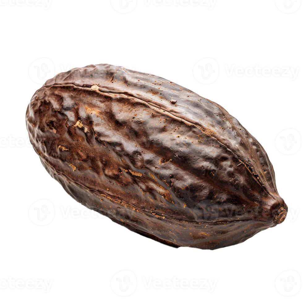 One single ripe cocoa pod isolated on white background photo