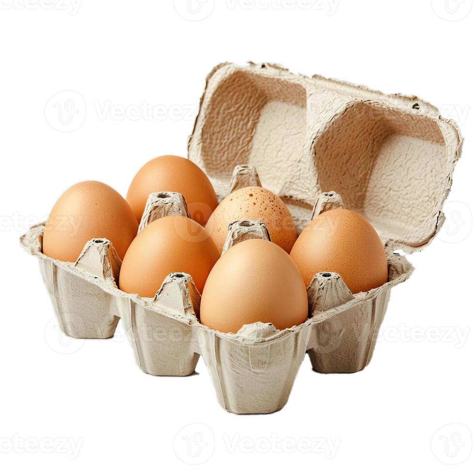 Six chicken eggs inside open recycled cardboard container photo