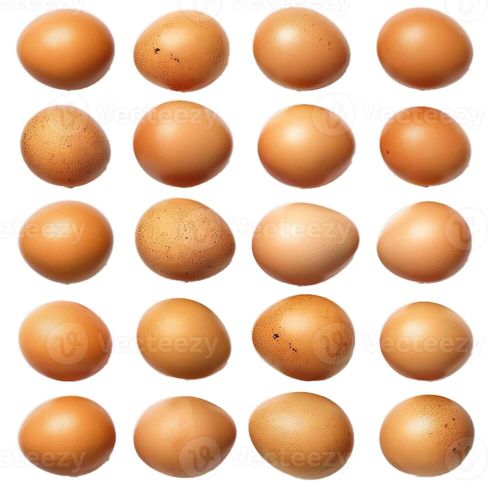 Twenty brown chicken eggs forming uniform pattern on white background photo