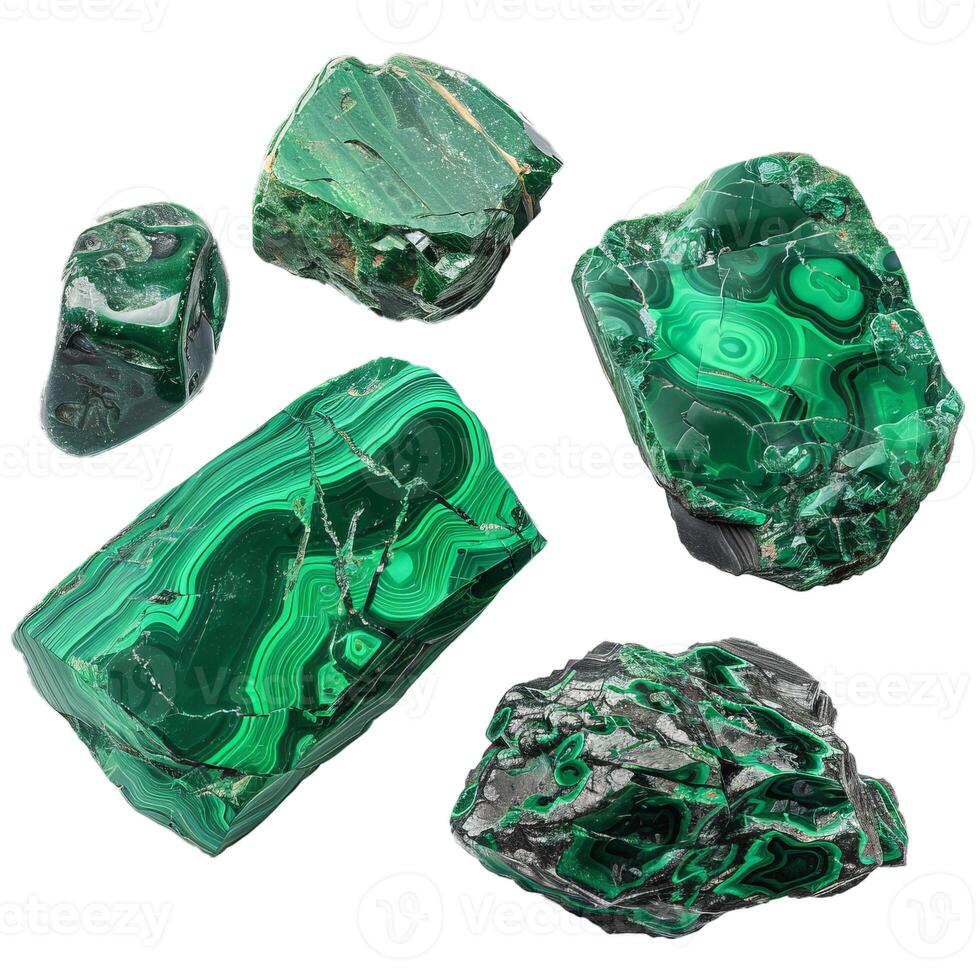 Showing five raw malachite stones with their amazing green patterns photo