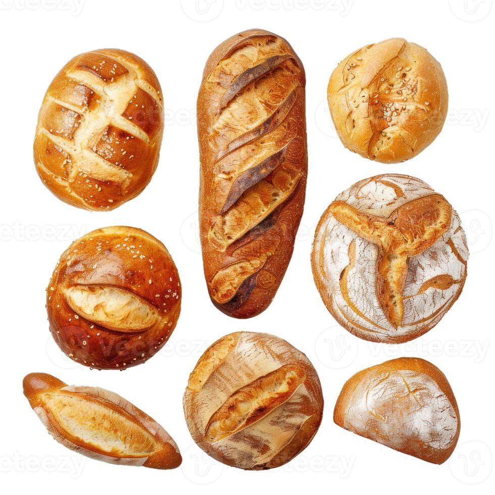 Variety of freshly baked bread loaves isolated on white background photo