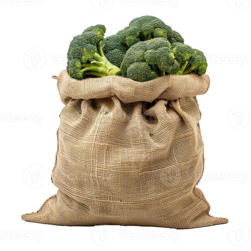 Burlap sack overflowing with freshly harvested broccoli heads photo