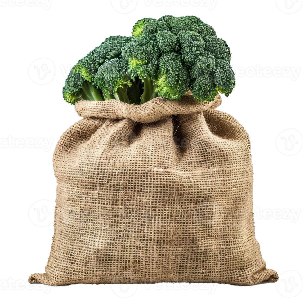 Fresh green broccoli heads overflowing from burlap sack photo