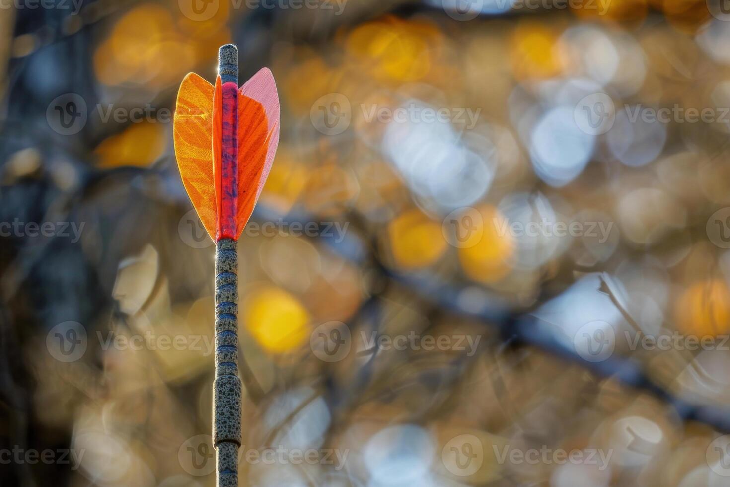 Carbon fiber arrow standing upright with a blurred autumn background photo