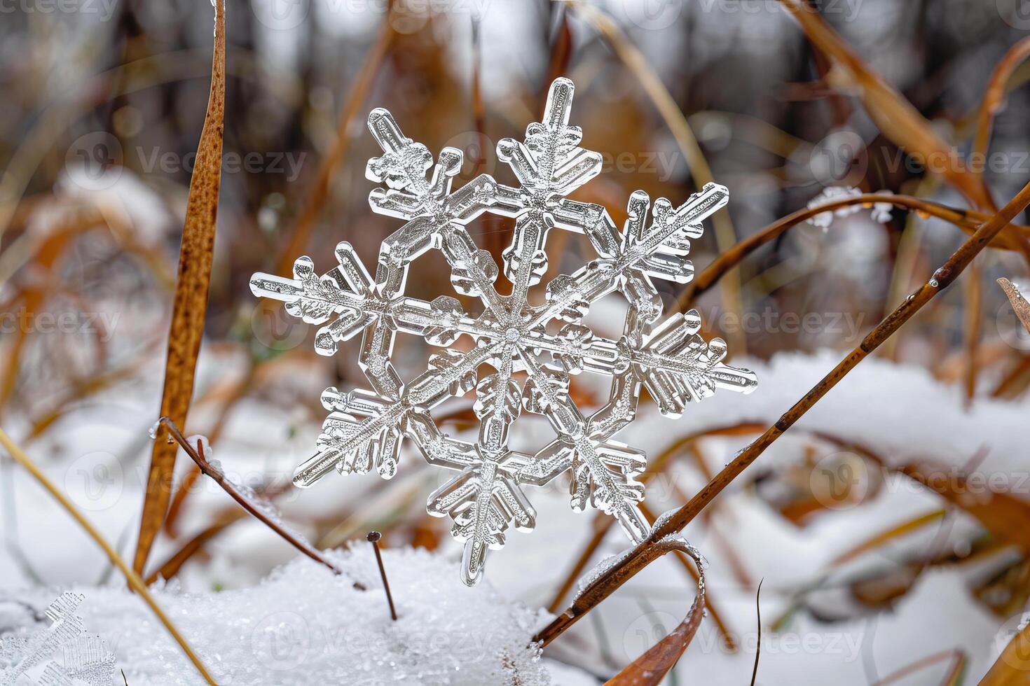Real snowflake resting on dry grass with fresh snow in winter landscape photo