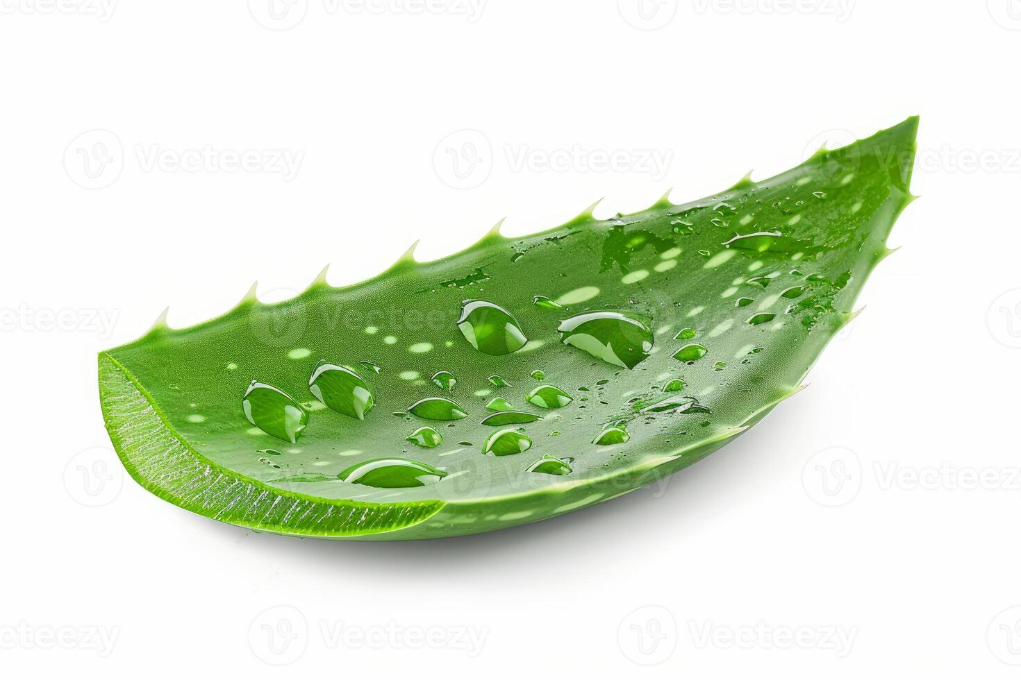 Aloe vera leaf with water drops isolated on white background photo