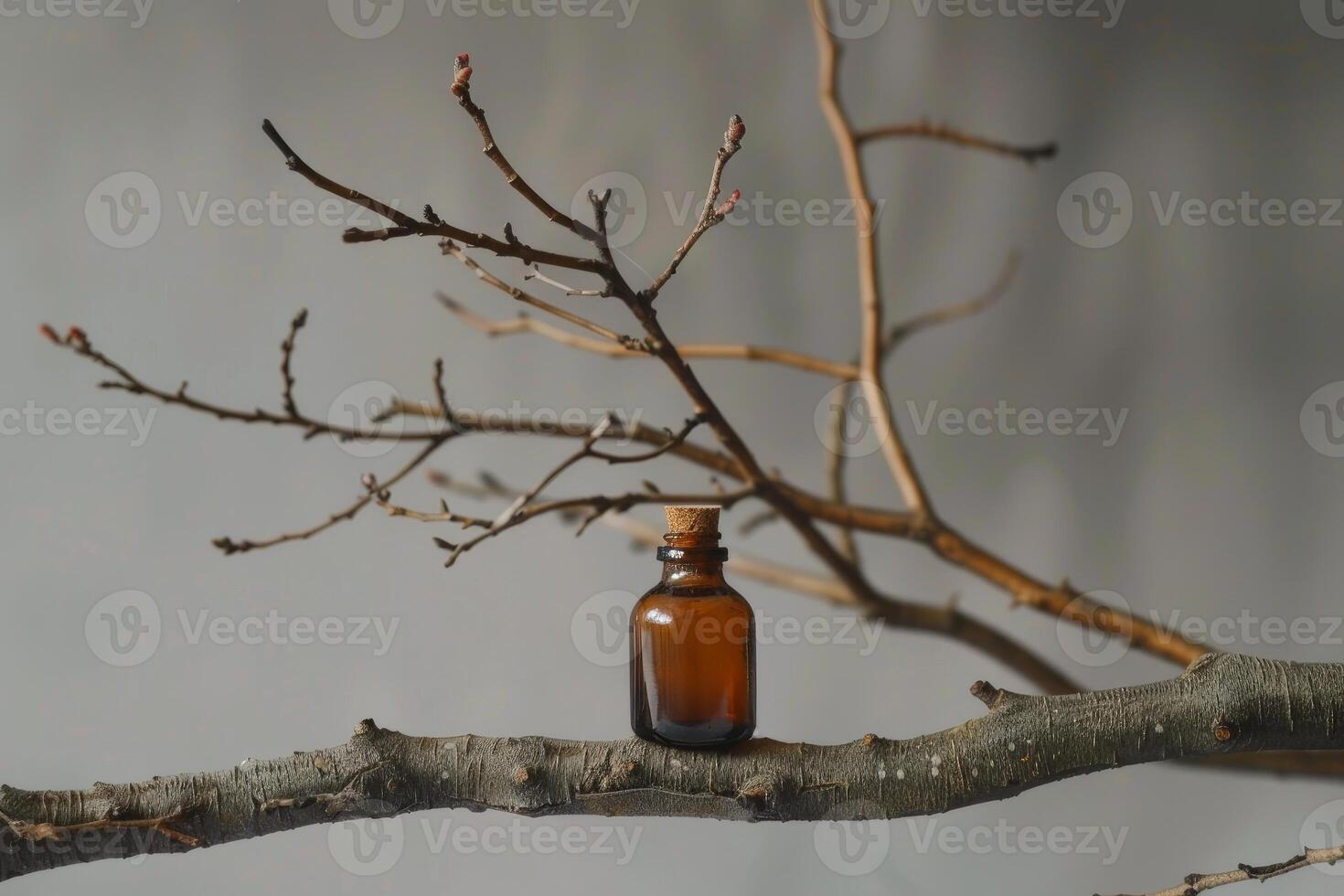 Small brown glass bottle standing on a bare tree branch photo