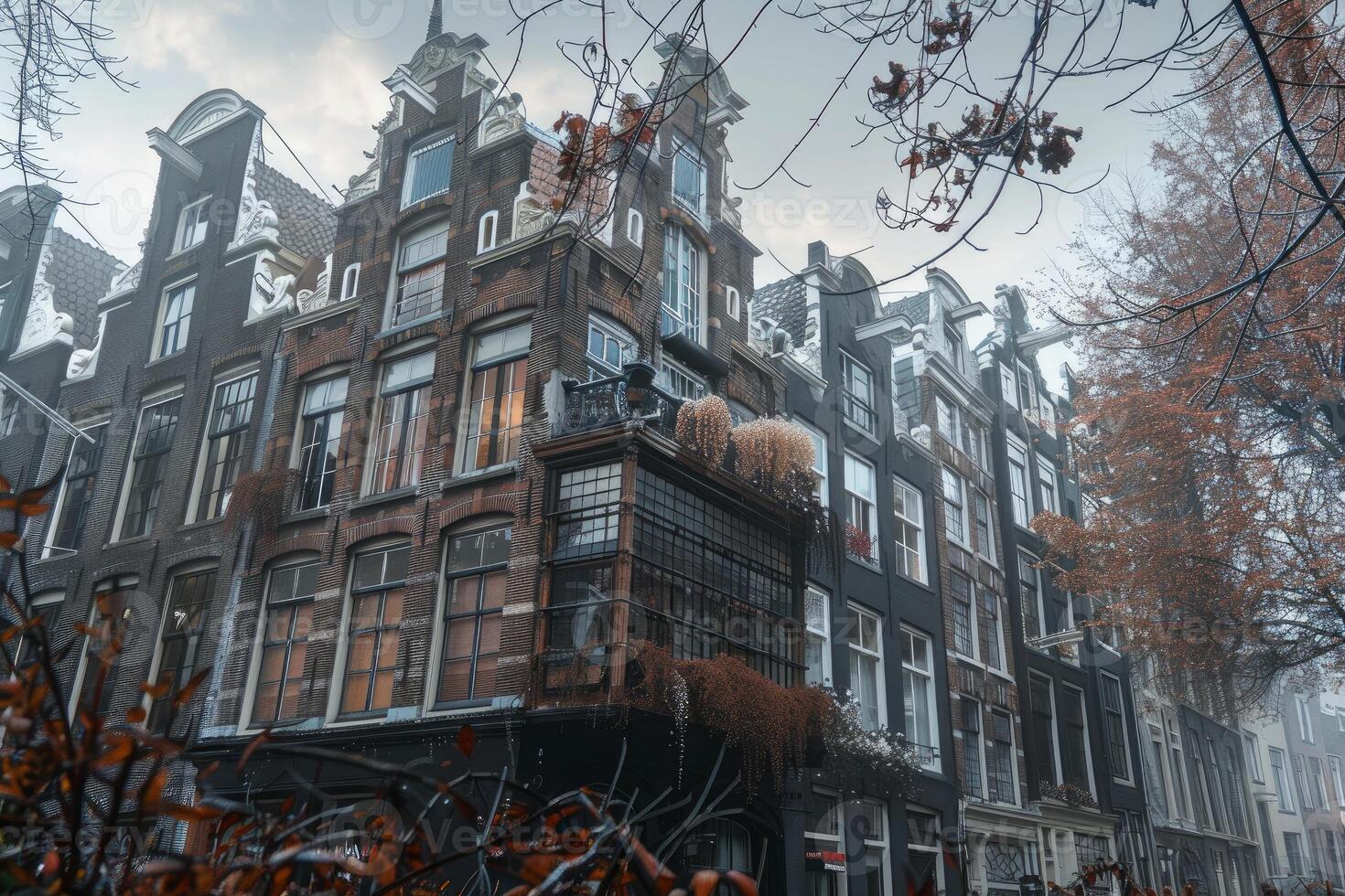 Traditional dutch houses standing in a row on an autumn day with fog photo