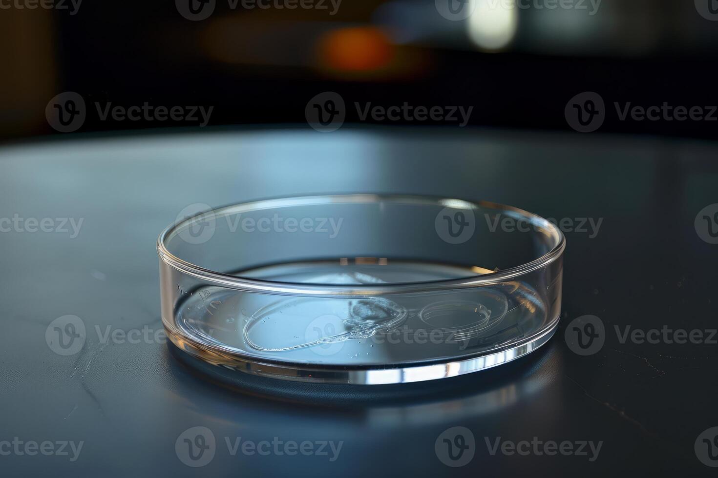 Empty petri dish sitting on table in a laboratory photo