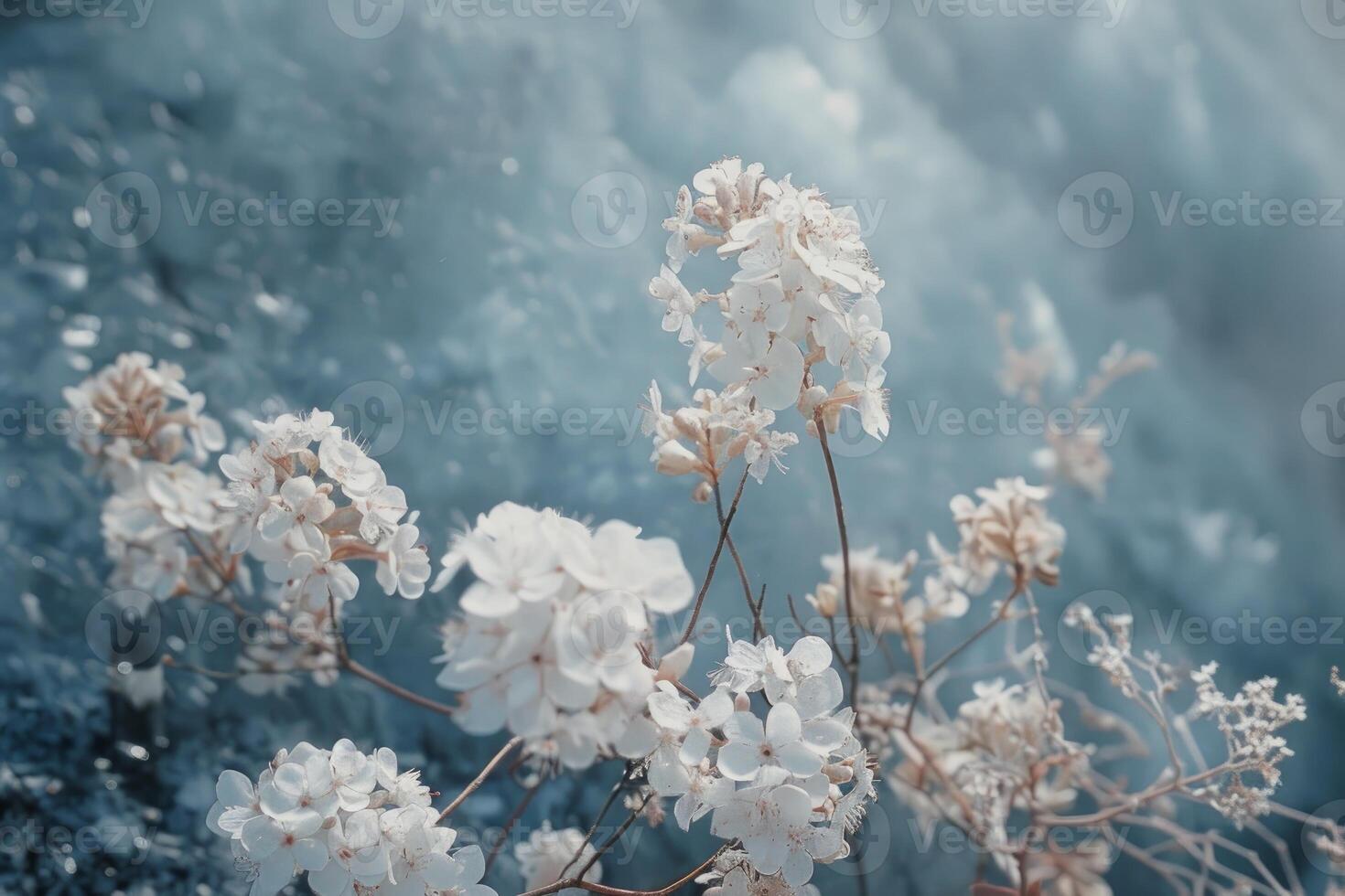 White flowers blooming near frozen lake in winter photo
