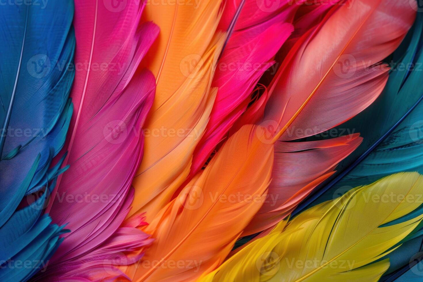 Colorful feathers forming a bright and cheerful background photo