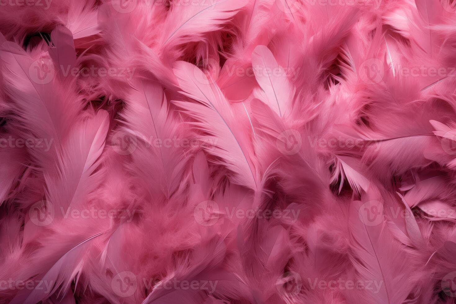 Delicate background texture of pink feathers in soft lighting photo