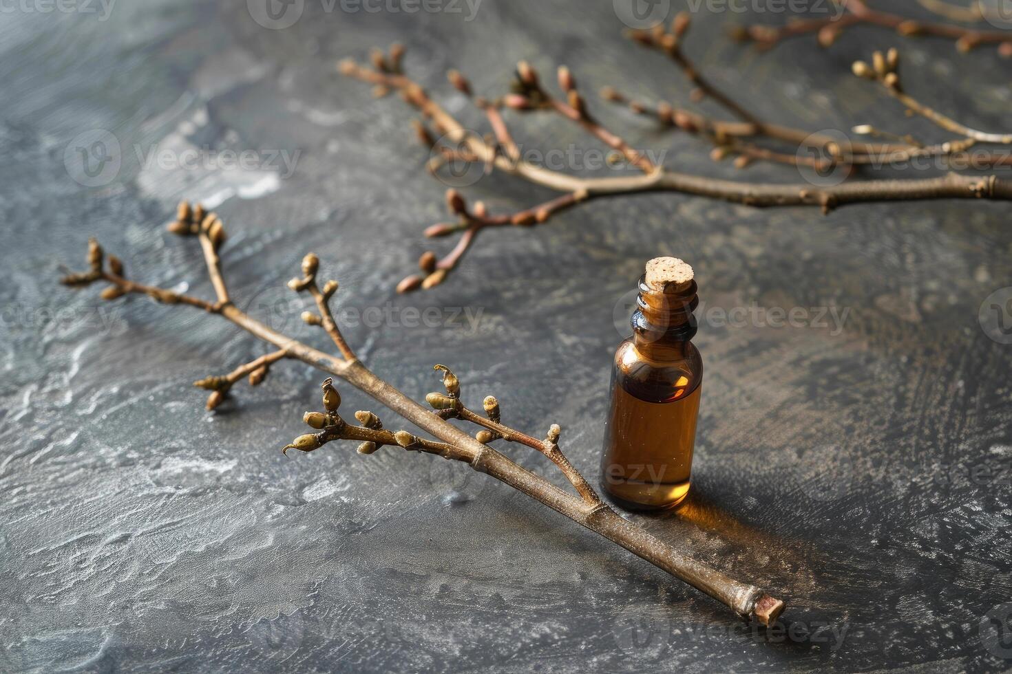 Small bottle with essential oil and tree branches with buds on grey background photo