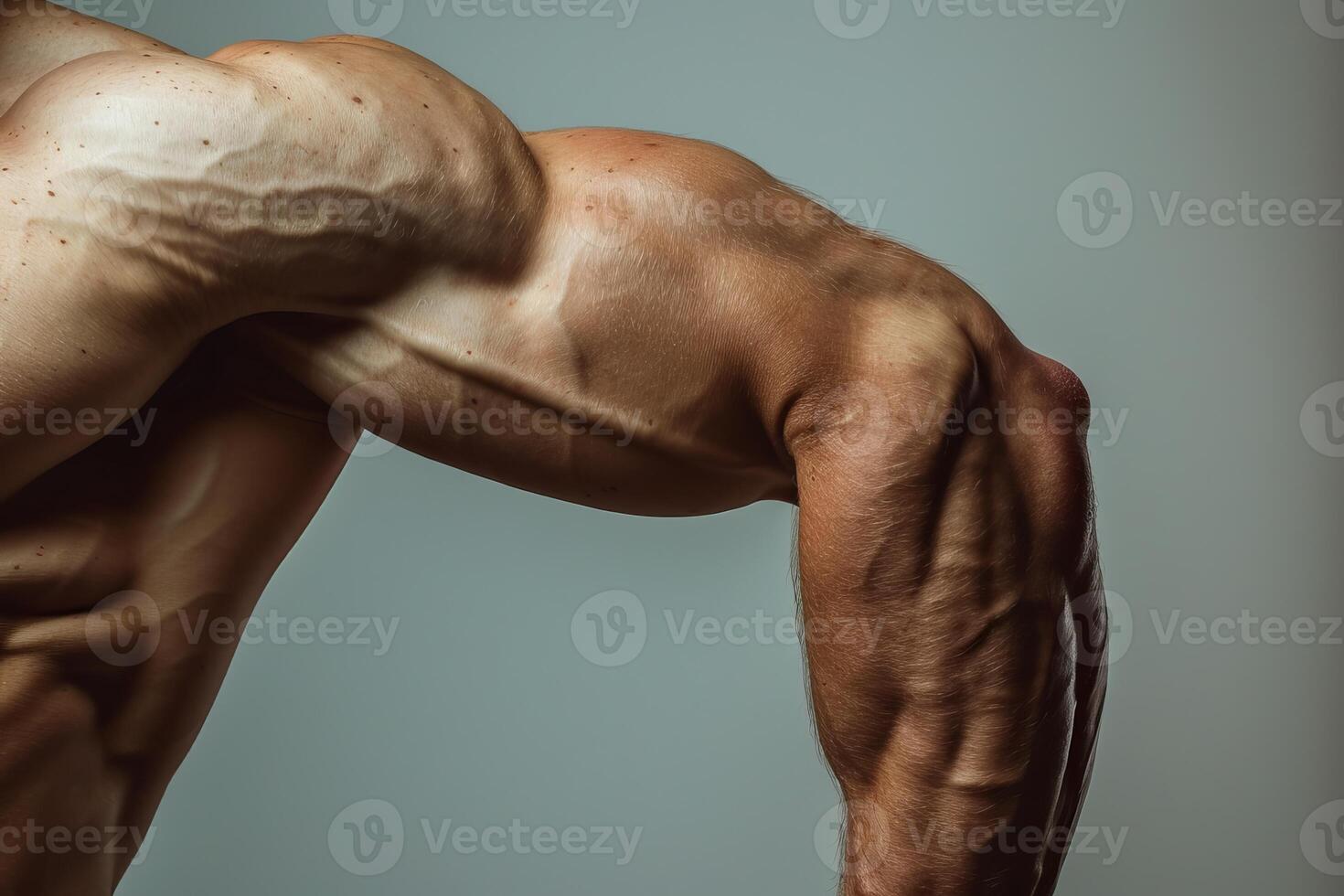 Bodybuilder showing powerful arm muscles and veins photo