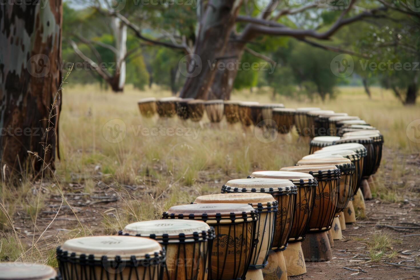Many djembe drums standing outdoors in nature for a jam session photo