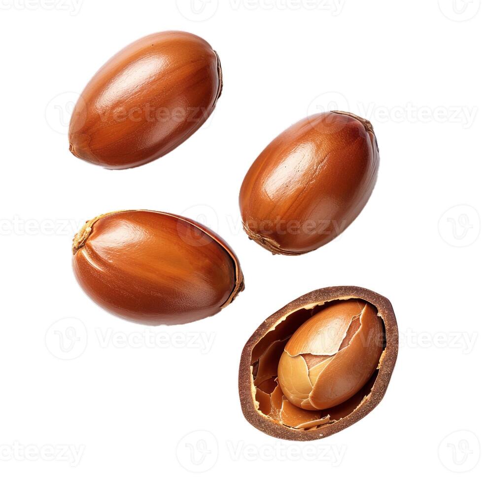 Argan nuts falling and rotating on white background photo