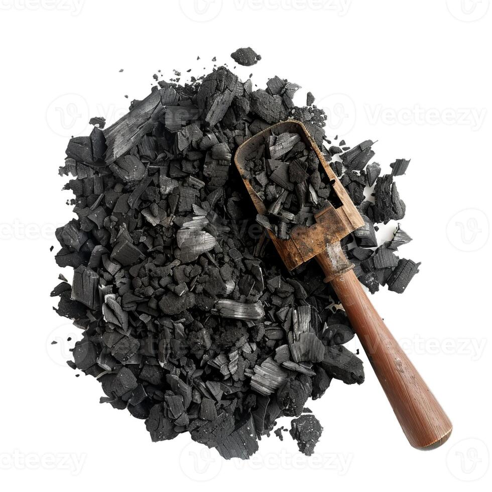 Pile of natural wood charcoal with scoop on white background photo