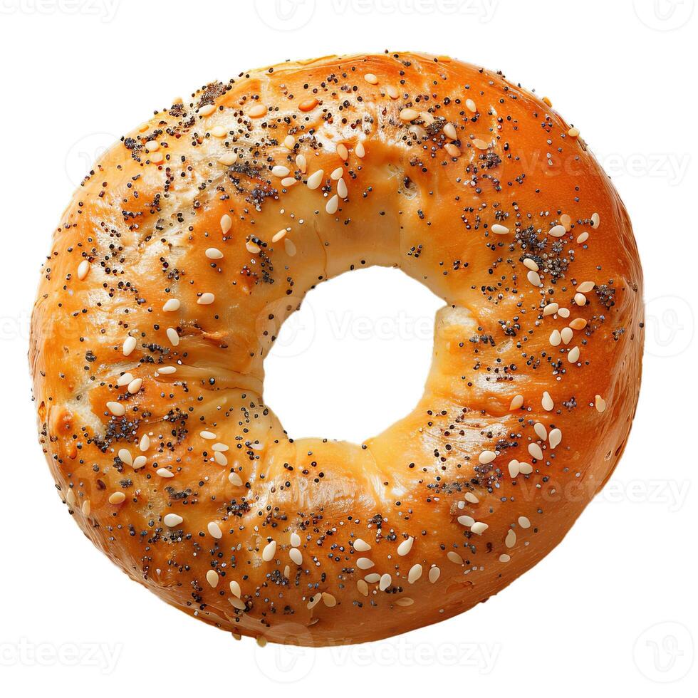 Freshly baked everything bagel topped with poppy seeds and sesame seeds on a white background photo