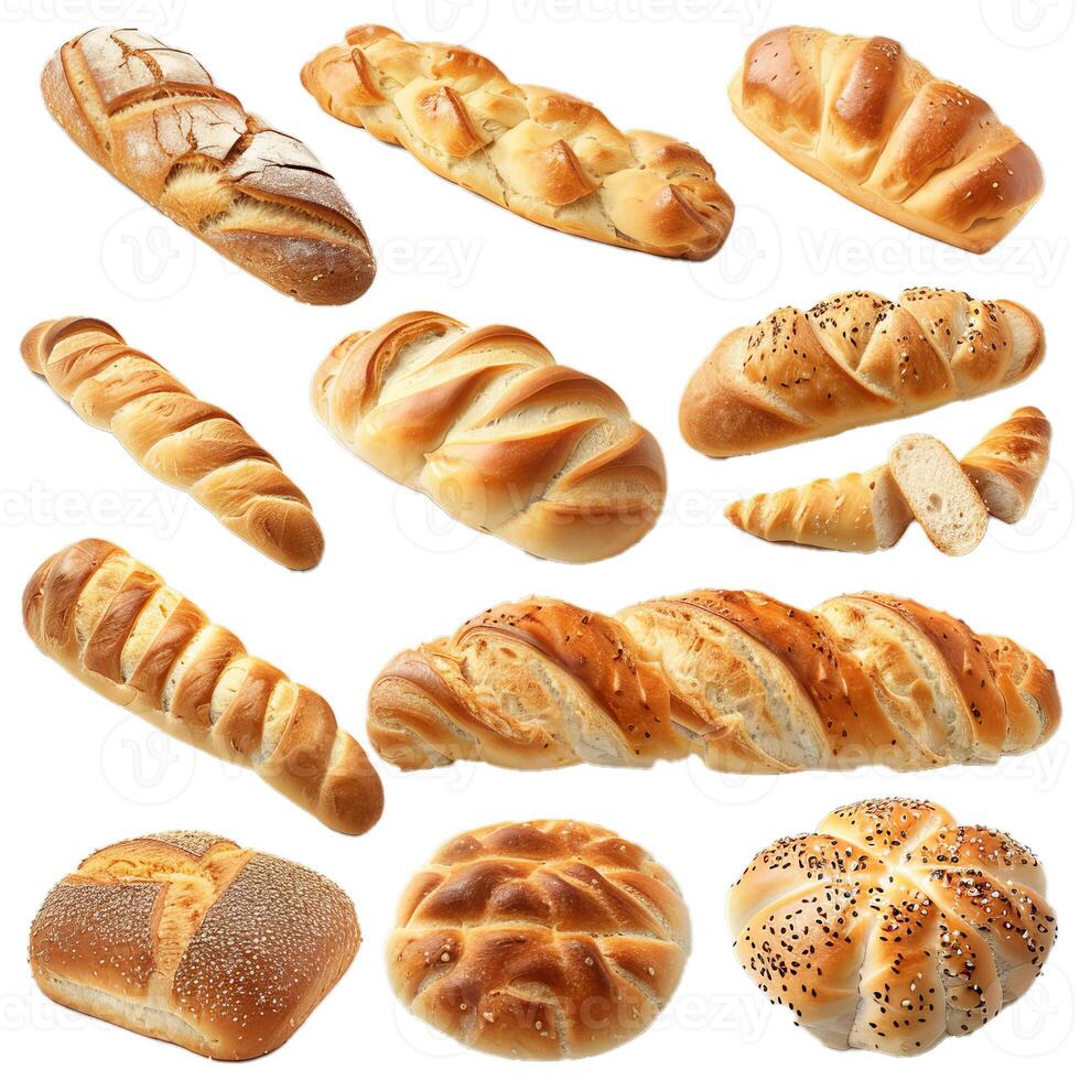 Freshly baked bread loaves showing variety of shapes and toppings photo