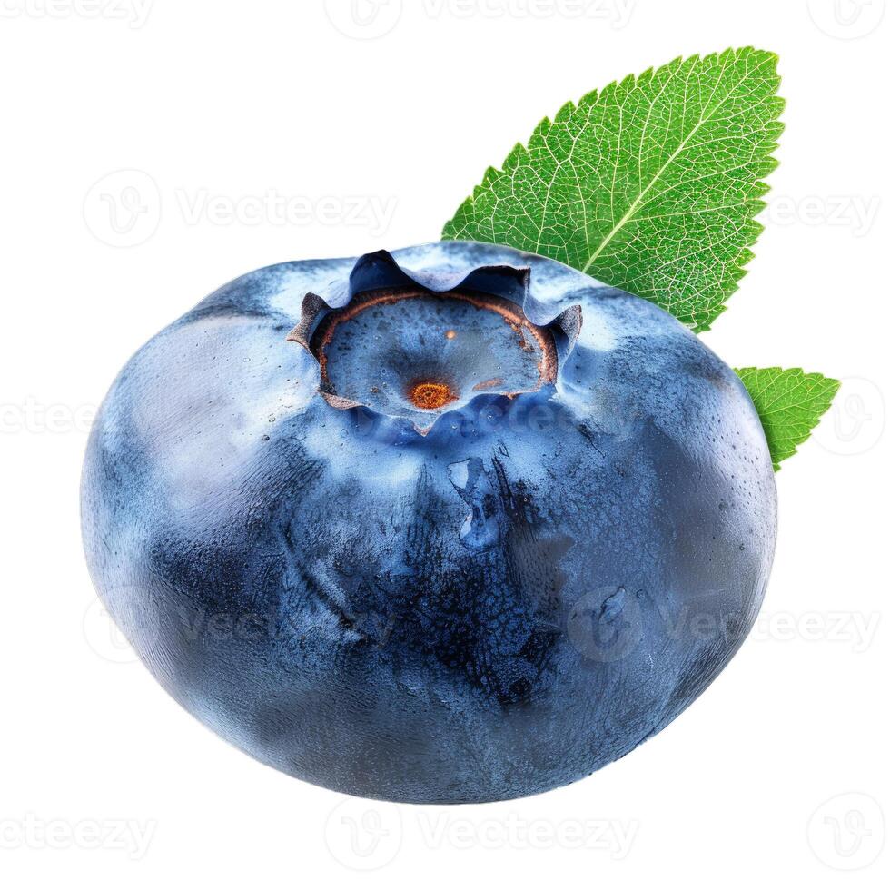 Single fresh blueberry with leaves isolated on white background photo