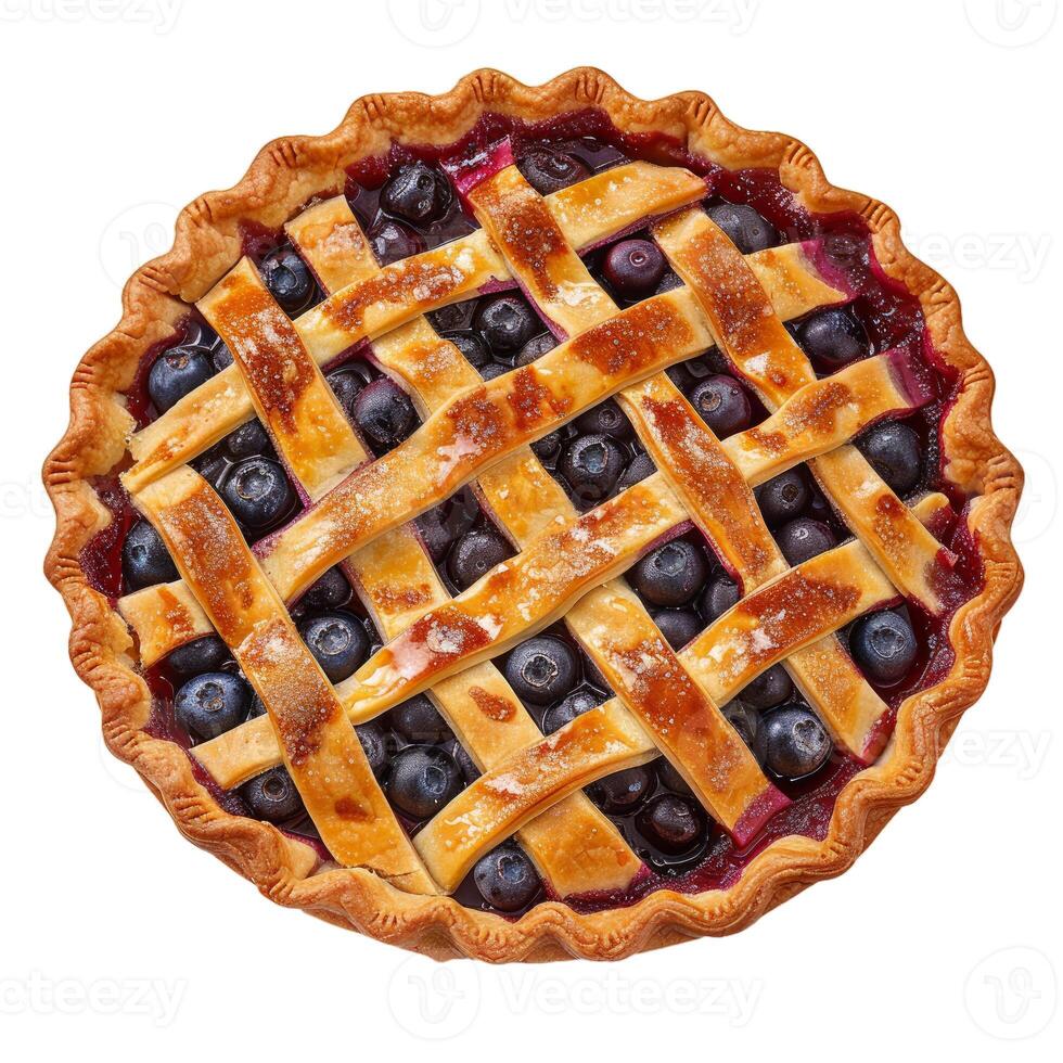 Delicious freshly baked blueberry pie with lattice crust photo