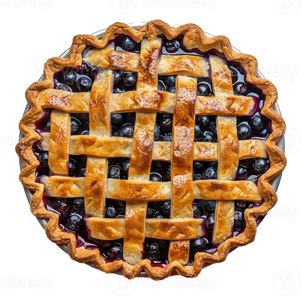 Delicious freshly baked blueberry pie with lattice crust photo