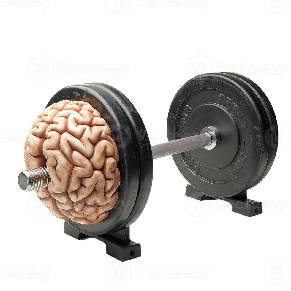 Human brain lifting weights on a barbell for intelligence and mental health concept photo