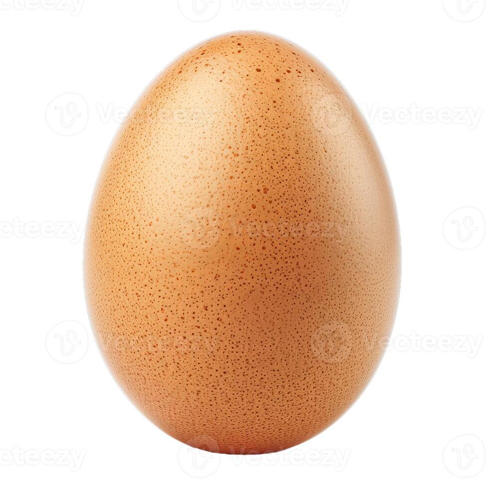 Single brown chicken egg standing upright on white background photo