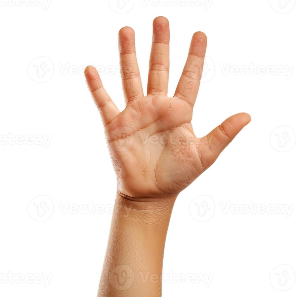 Child hand showing five fingers up in the air photo