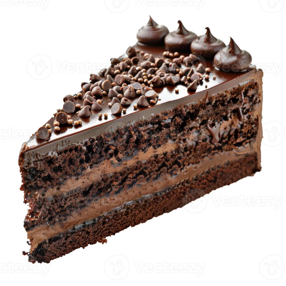 Delicious chocolate cake slice decorated with chocolate chips and icing swirls photo