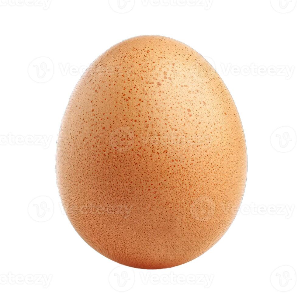 One single brown chicken egg standing upright on white background photo