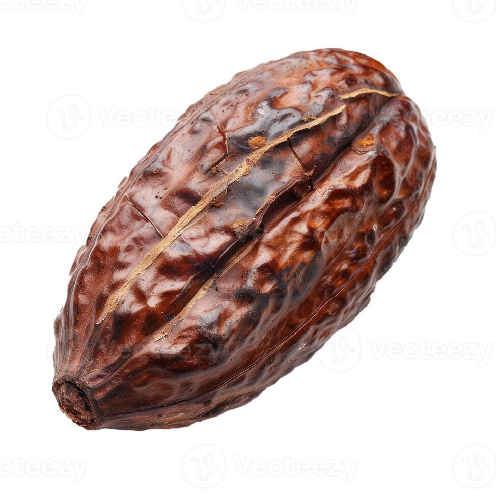 Single cocoa pod isolated on a white background photo