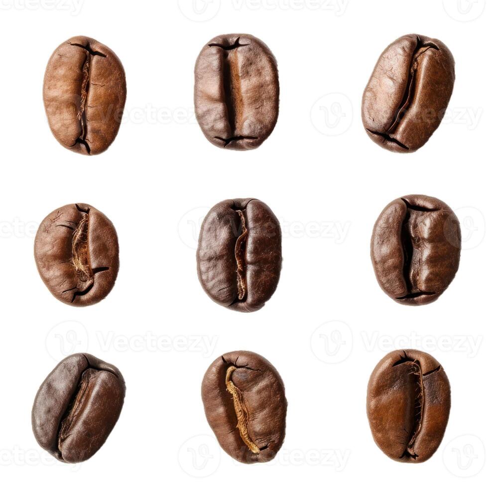 Nine roasted coffee beans forming a square pattern on a white background photo