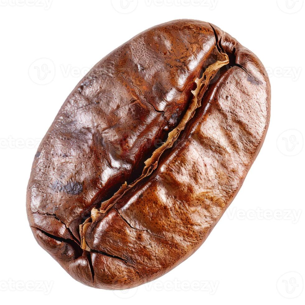 Single roasted coffee bean showing texture on white background photo