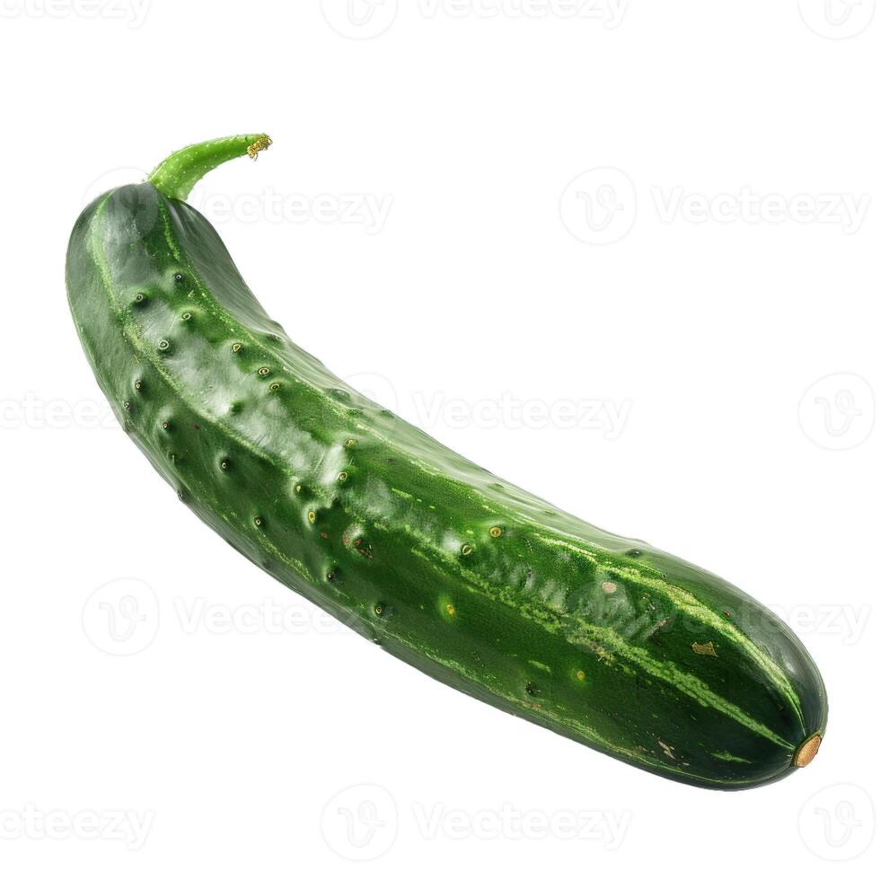 Fresh green cucumber isolated on white background photo