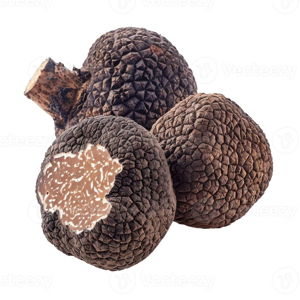 Three black truffles showing cross section isolated on white background photo