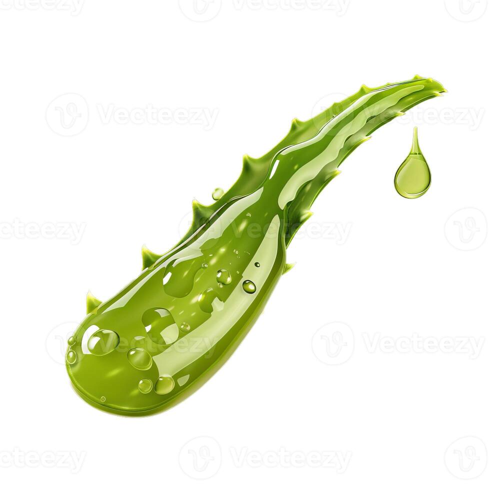 Aloe vera leaf dripping essential oil forming a splash photo