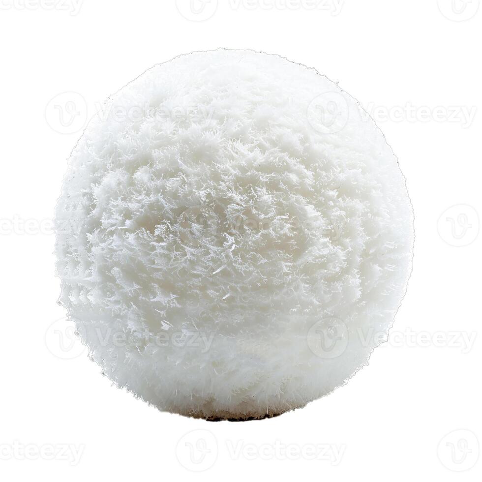 Single scoop of coconut ice cream on white background photo
