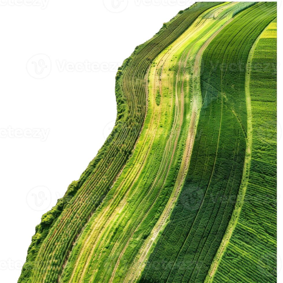 Aerial view of beautiful agricultural fields forming abstract patterns on hillside photo