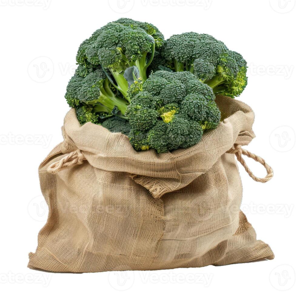 Burlap sack overflowing with freshly harvested broccoli heads photo