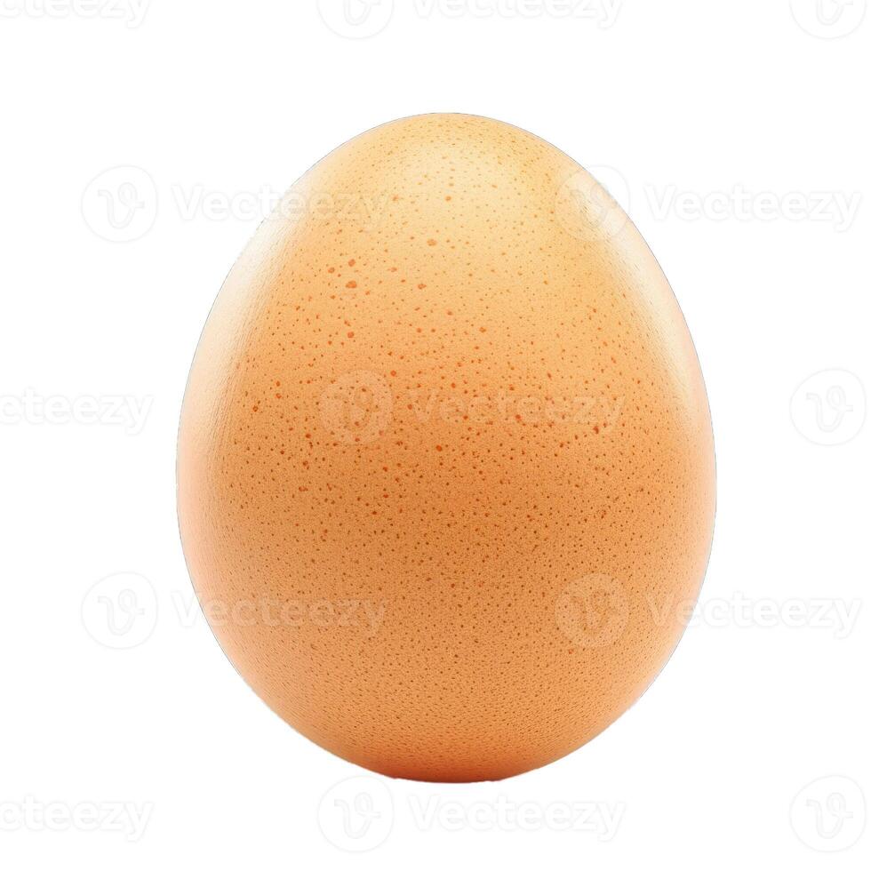 Single brown chicken egg standing upright on white background photo