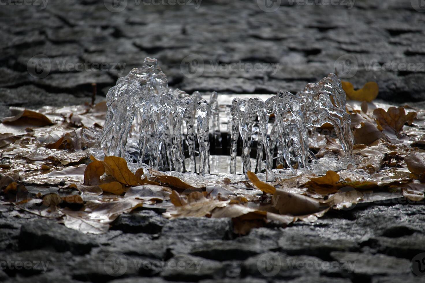 Elegant water fountain surrounded by autumn leaves on cobblestones photo