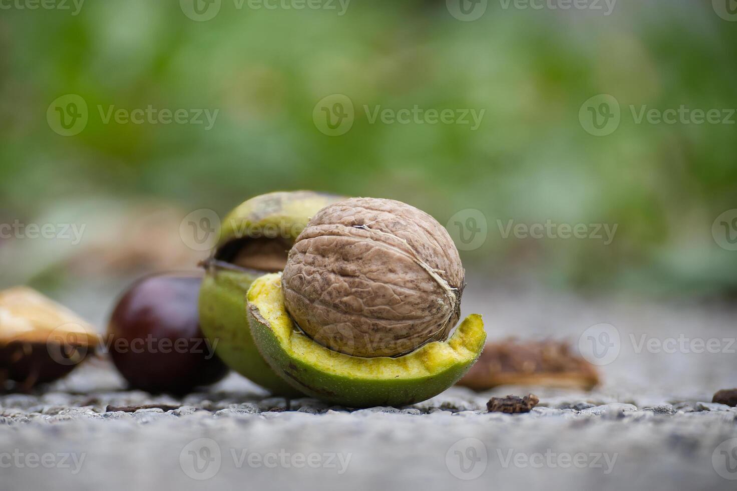 Detailed image of assorted nuts and seeds resting on rustic ground, highlighting textures and natural colors photo