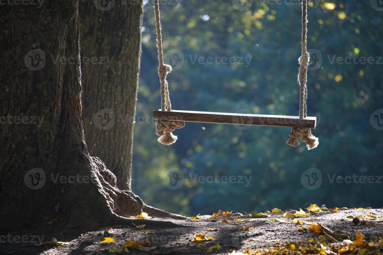 Serene Wooden Swing Under a Tree photo