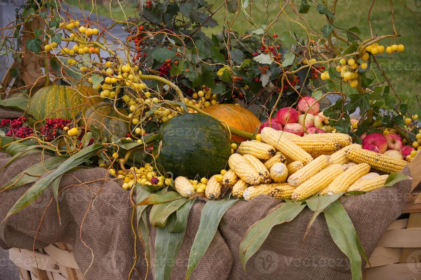 Autumn Harvest Basket with Pumpkins and Corn photo