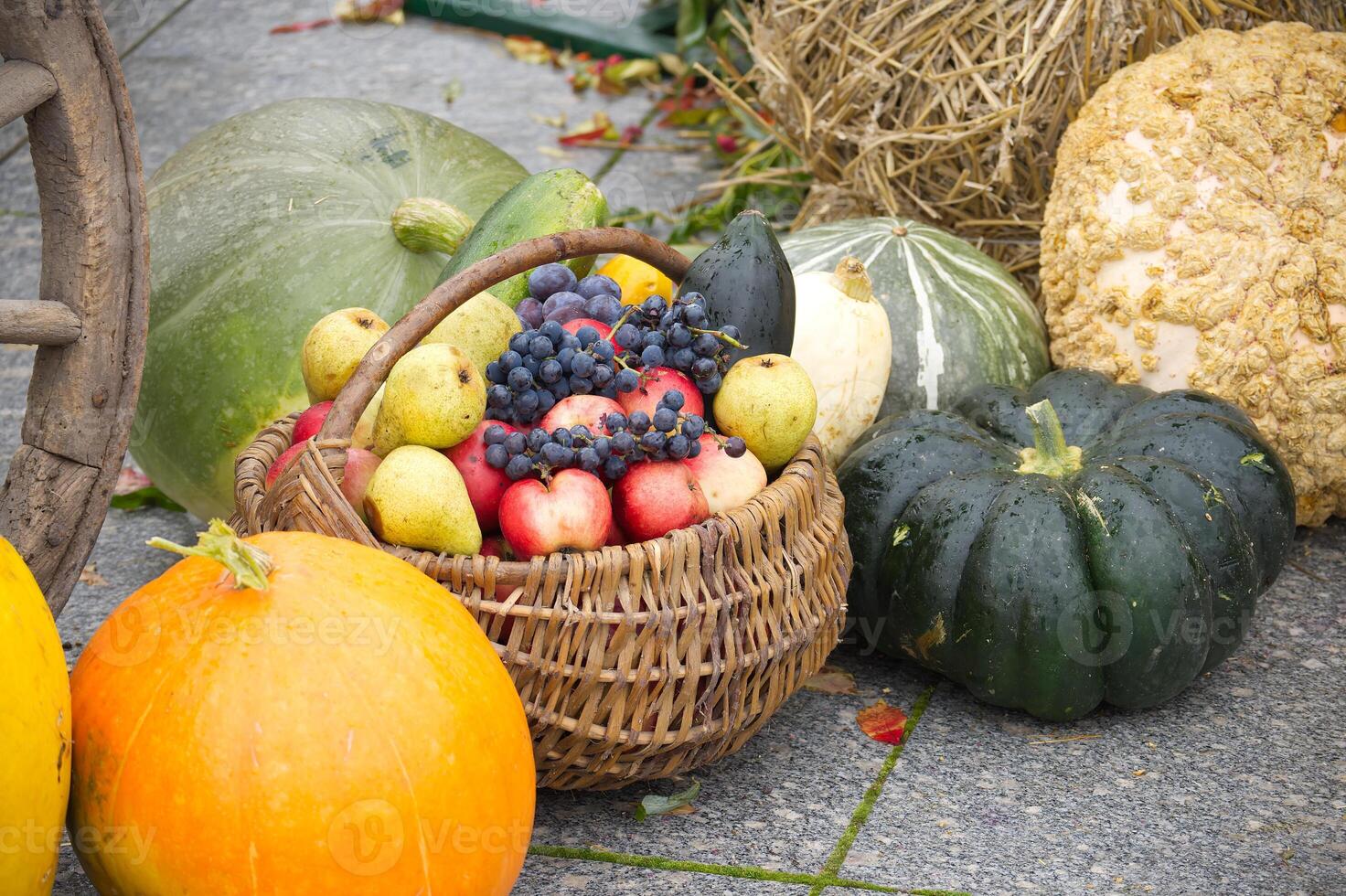 Autumn Harvest Basket with Fruits and Pumpkins photo